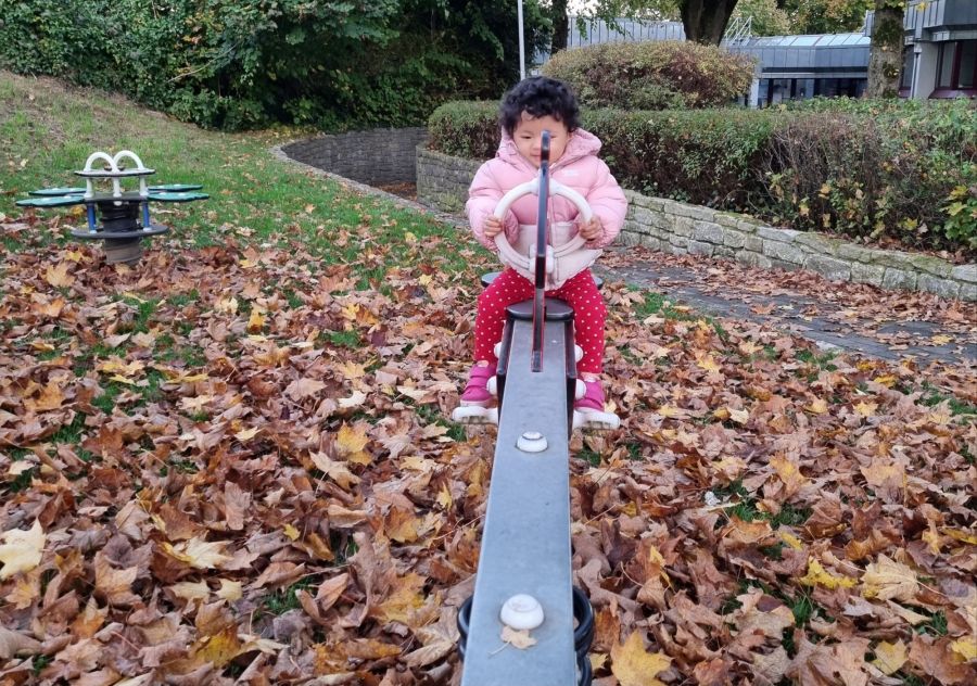 The Beauty of&nbsp;Fall