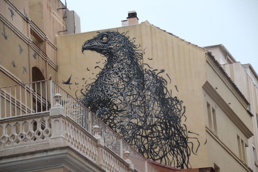 The Enigmatic Bird of&nbsp;Málaga