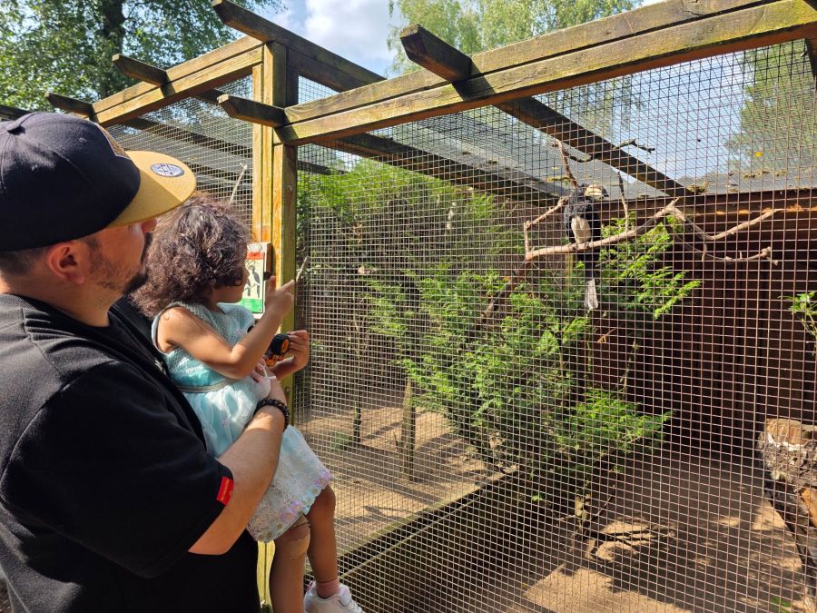 The Month of&nbsp;Questions